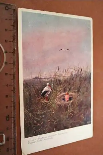 tolle alte Karte - Künstlerkarte - Nest mit Baby daneben der Storch