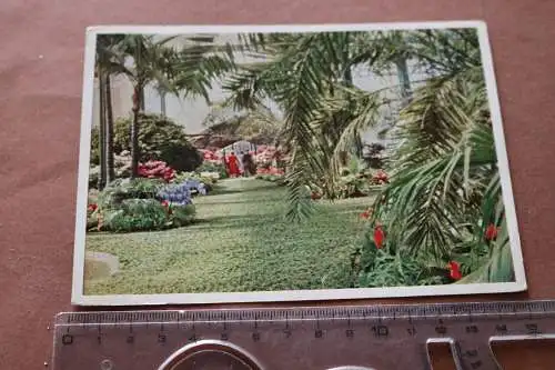 tolle alte Karte -Partie Wintergarten Wilhelma Stuttgart - Bad Canstatt