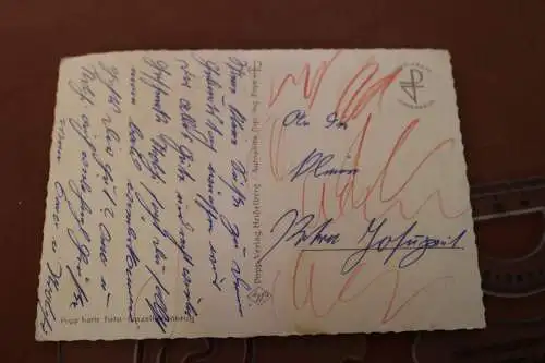 tolle alte Popp Karte - zwei Hunde verabschieden sich 