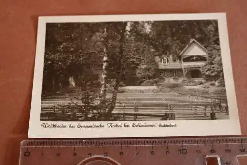 tolle alte Karte Waldtheater der Sommerfrische Kadtal bei Schluckenau  Sudeten 
