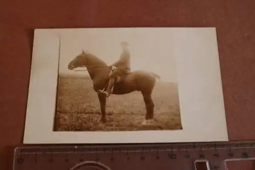 Tolles altes Foto - Reiter mit Pferd , Schnwanz beschnitten 1914