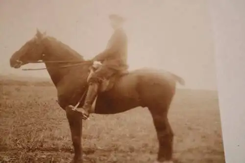 tolles altes Foto - Reiter mit Pferd , Schnwanz beschnitten 1914