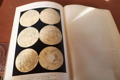 tolles Buch - Carus Sterne - Werden und Vergehen  1. Band von 1900 