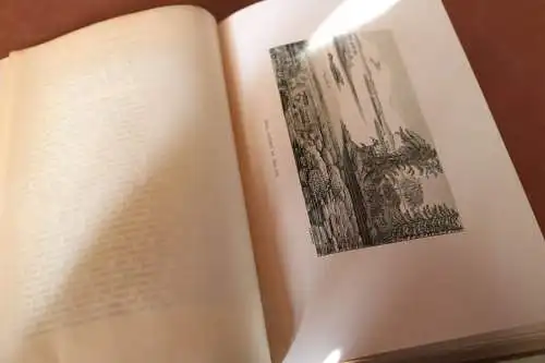 tolles Buch - Carus Sterne - Werden und Vergehen  1. Band von 1900