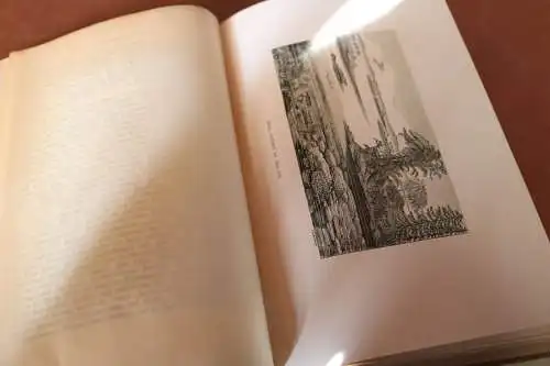 tolles Buch - Carus Sterne - Werden und Vergehen  1. Band von 1900 