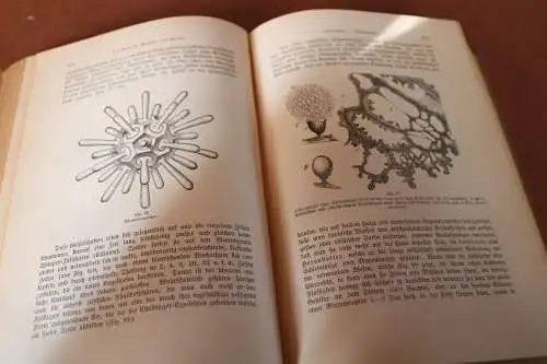 tolles Buch - Carus Sterne - Werden und Vergehen  1. Band von 1900