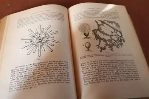 tolles Buch - Carus Sterne - Werden und Vergehen  1. Band von 1900 