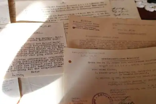 kleines Konvolut alter Papiere, Dokumente - Ahnenforschung von Bülow