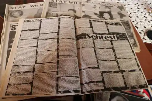 fünf alte Zeitschriften Stay Wild  - Punkrock - 90er Jahre ???