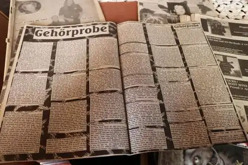 fünf alte Zeitschriften Stay Wild  - Punkrock - 90er Jahre ???