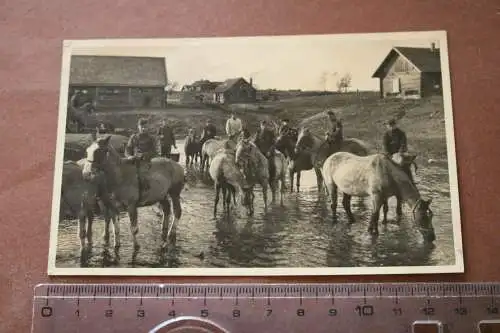 tolles altes Foto - Soldaten mit Pferde , lassen Pferde trinken - Russland ??