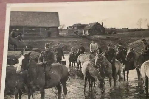 tolles altes Foto - Soldaten mit Pferde , lassen Pferde trinken - Russland ??