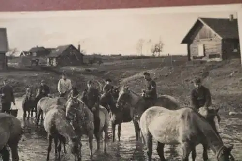 tolles altes Foto - Soldaten mit Pferde , lassen Pferde trinken - Russland ??