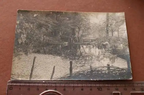 altes Foto - Soldat mit Pferd auf Brücke und Frau wäscht am see - Olesko 1917