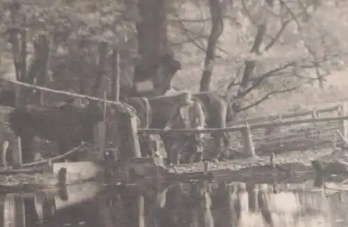 altes Foto - Soldat mit Pferd auf Brücke und Frau wäscht am see - Olesko 1917