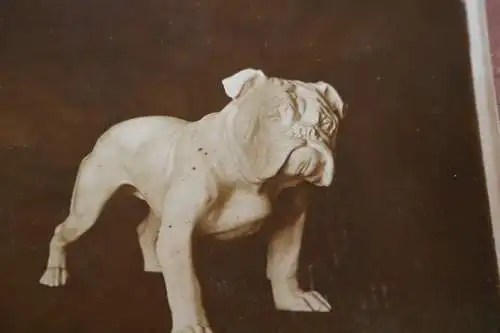 tolles altes Porzellanmodell -  Diller - Englische Bulldogge 1910-1930 ???