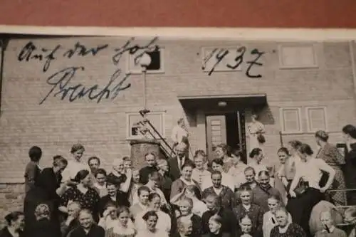 tolles altes Gruppenfoto Frauen - Auf der Holz ??? Pracht - 1937 