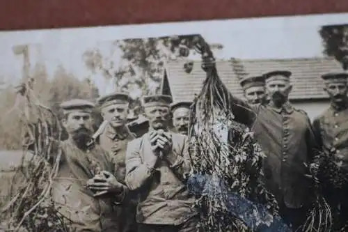 drei alte Fotos Soldaten vor Unterstand und Kartoffelernte - 57 Inf. Regt.