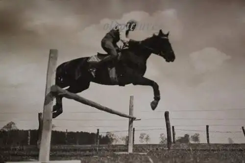 zwei tolle alte Fotos - Springreiten, Pferd im Sprung - 30er Jahre