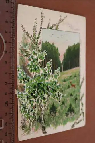 tolle alte  2D-Karte ???  Frohe Pfingsten 1907 