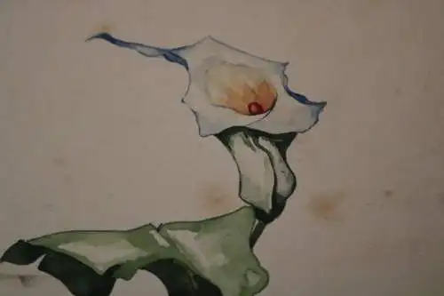 tolles altes Aquarell ??? Calla Blume - signiert - 1947