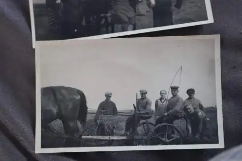 zwei alte Fotos Landarbeiter bei der Arbeit, Pferde - Raum Sottrum- 30er Jahre ?