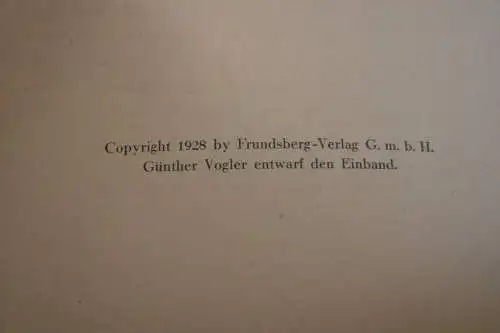 Buch - So war der Weltkrieg - 200 Kampfaufnahmen - F. Schauwecker - 1928