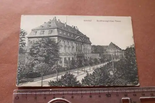 tolle alte Karte - Mainz  Großherzogliches Palais 1914