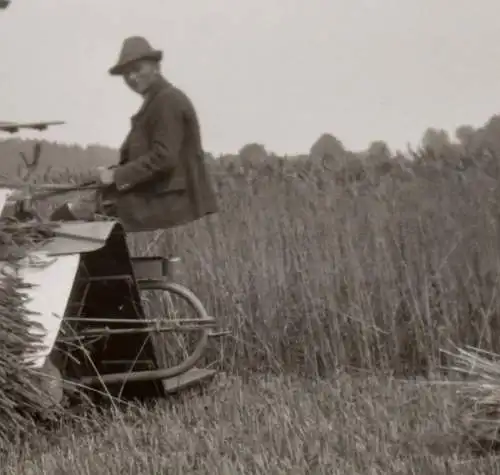 sieben tolle alte Negative - landwirtschaftliche Maschinen - Fahr usw. 1910-30 ?