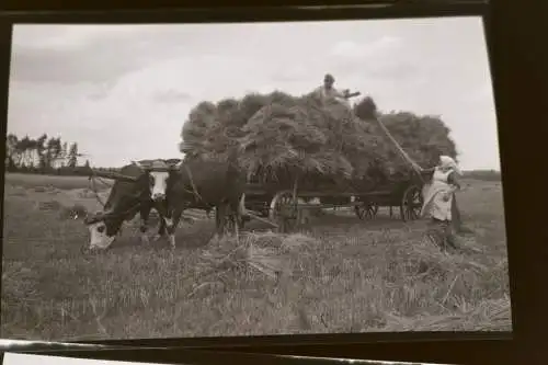 sieben tolle alte Negative - landwirtschaftliche Maschinen - Fahr usw. 1910-30 ?