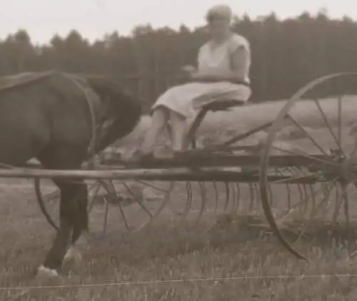 sieben tolle alte Negative - landwirtschaftliche Maschinen - Fahr usw. 1910-30 ?