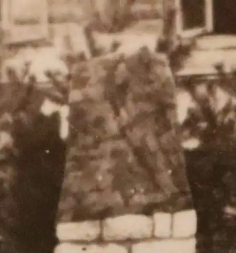 altes Foto - Soldaten bewachen unenthülltes Denkmal - Ort ??