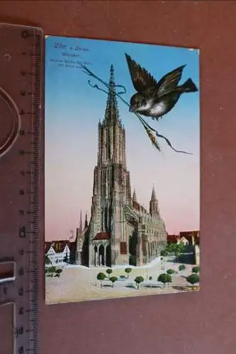 tolle alte Karte - Ulm - Ulmer Münster mit Spatz -  1930