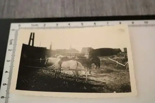 tolles altes Foto - Personen liegen auf ihren Pferden