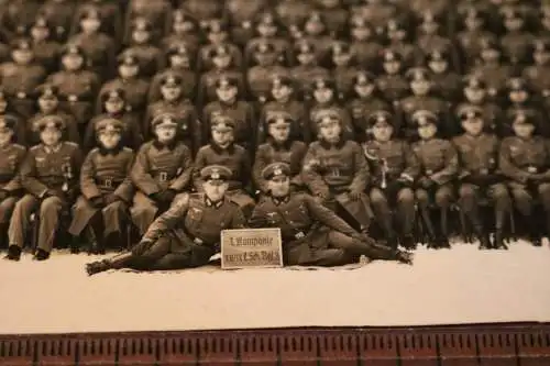 tolles altes Gruppenfoto - Landesschützen-Regiment 3  ??? L.Sch.Rgt. 3