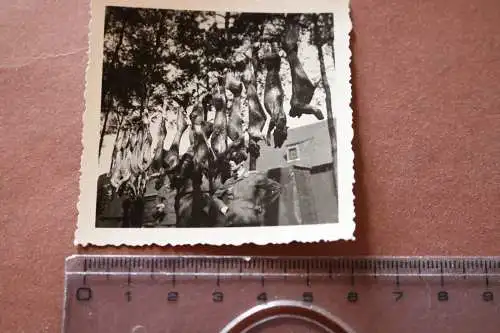 tolles altes Foto Soldat Luftwaffe nach erfolgreicher Hasenjagd 