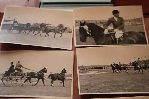 zehn alte Fotos Reittunier, Springreiten, Kutschen, usw.  50-60er Jahre ? Ort ??