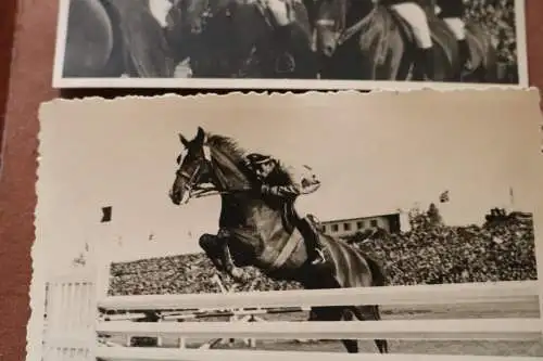 zehn alte Fotos Reittunier, Springreiten, Kutschen, usw.  50-60er Jahre ? Ort ??
