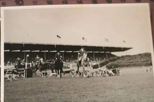 zehn alte Fotos Reittunier, Springreiten, Kutschen, usw.  50-60er Jahre ? Ort ??