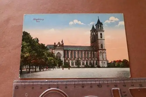 tolle alte Karte  Magdeburg  Dom - 1921