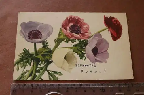 tolle alte Karte  Blumentag Posen  1910-20 ???