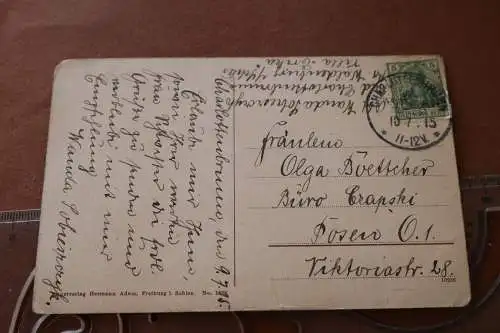 tolle alte Karte - Bad Charlottenbrunn Schlesien - Villen am Bellevuewege 1915