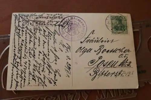 tolle alte Karte  Blumentag in Breslau - Mai 1911 