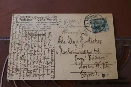 tolle alte Karte  Savoldo - Die Venetianerin - Köngl. Museum Berlin 1908