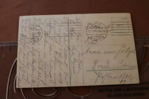 tolle alte Karte  Hof i.B.  Partien in den Theresienanlagen - 1915