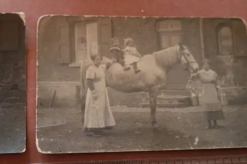 zwei alte Fotos - Kleinkinder auf Pferd - Mütter halten Pferd - 1910-20 ?