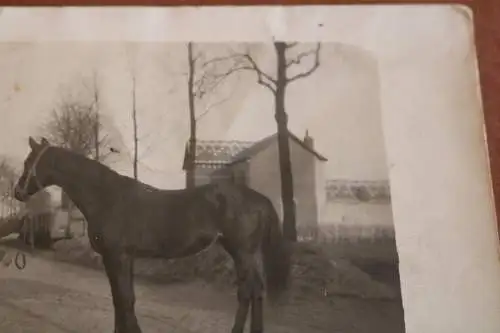 tolles altes Foto Soldat mit Pferd - Kavallerie