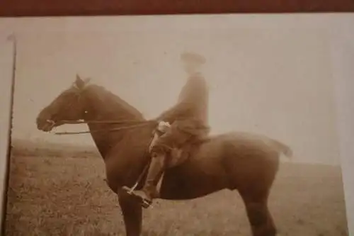 tolles altes Foto - Reiter mit Pferd , Schnwanz beschnitten 1914