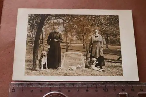 tolles altes Foto  Mutter Tochter mit ihren Hunden und Welpen 1910-20