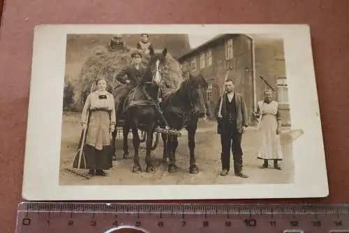 tolles altes Foto - Bauer mit Pferdefuhrwerk - nach Heuernte  1910-30